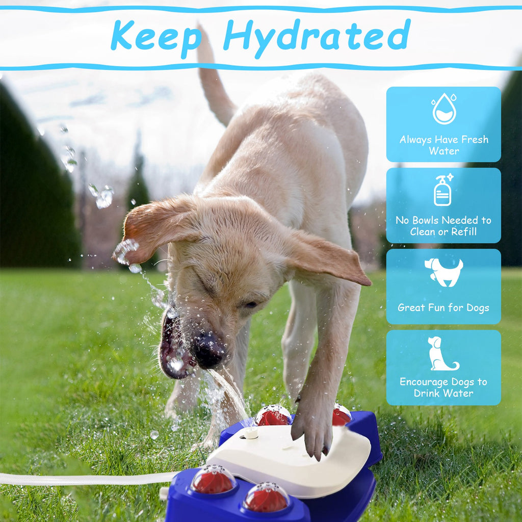 Outdoor Automatic Dog Water Fountain